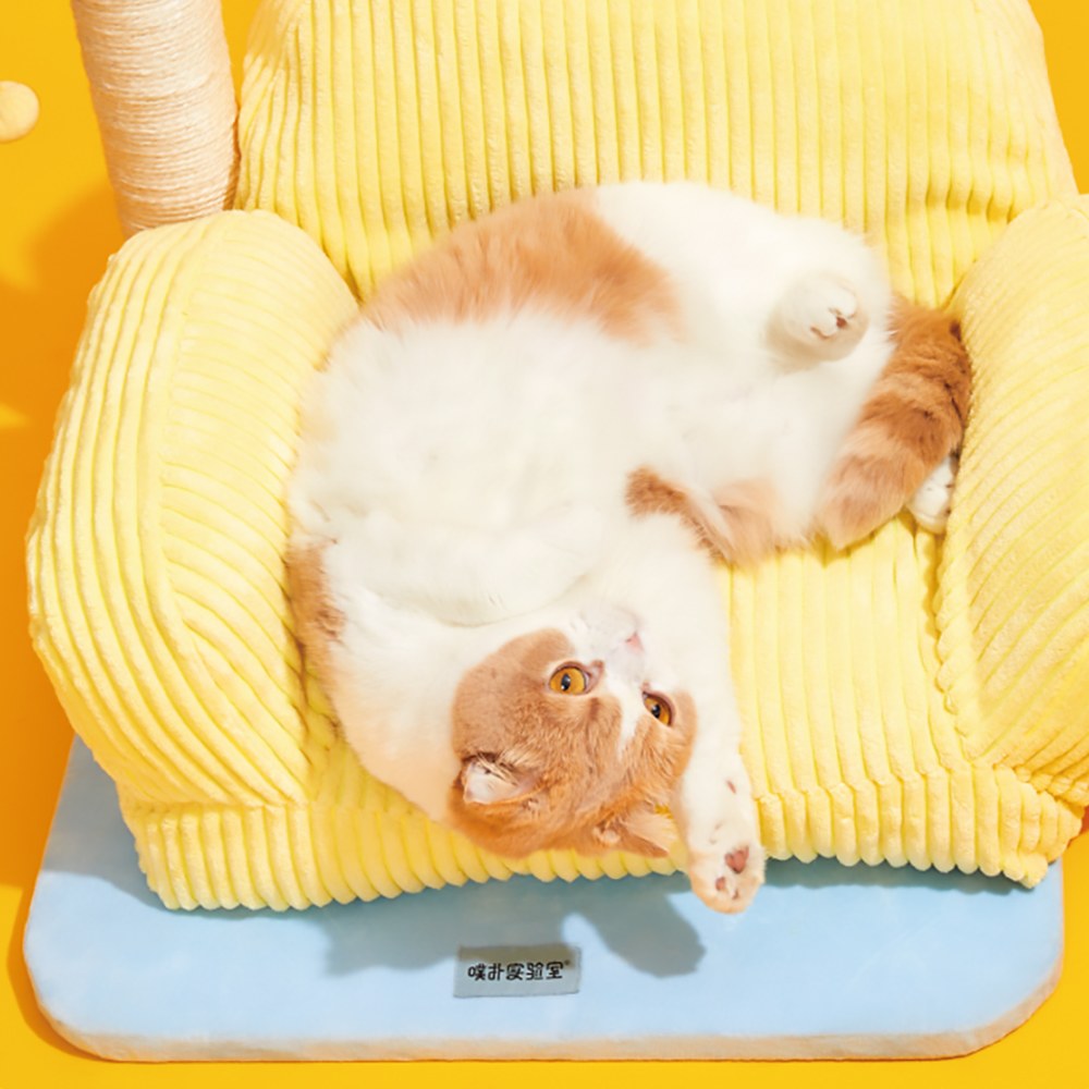 福利品專區 - 抓柱貓爬架 喵喵客廳