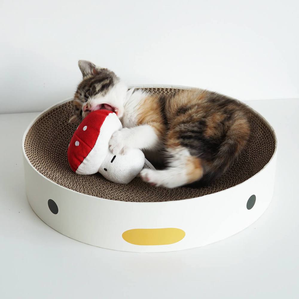 小雞貓抓板 (兩款)