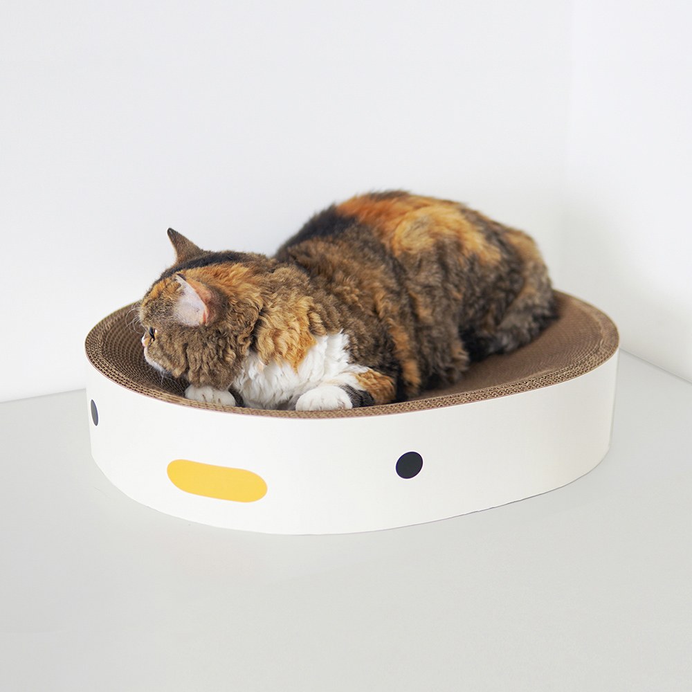 小雞貓抓板 (兩款)