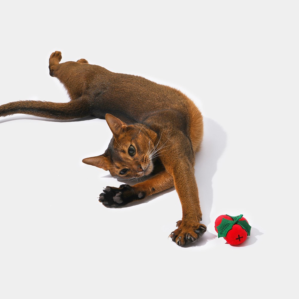 貓薄荷玩具 - 聖誕毛絨球球