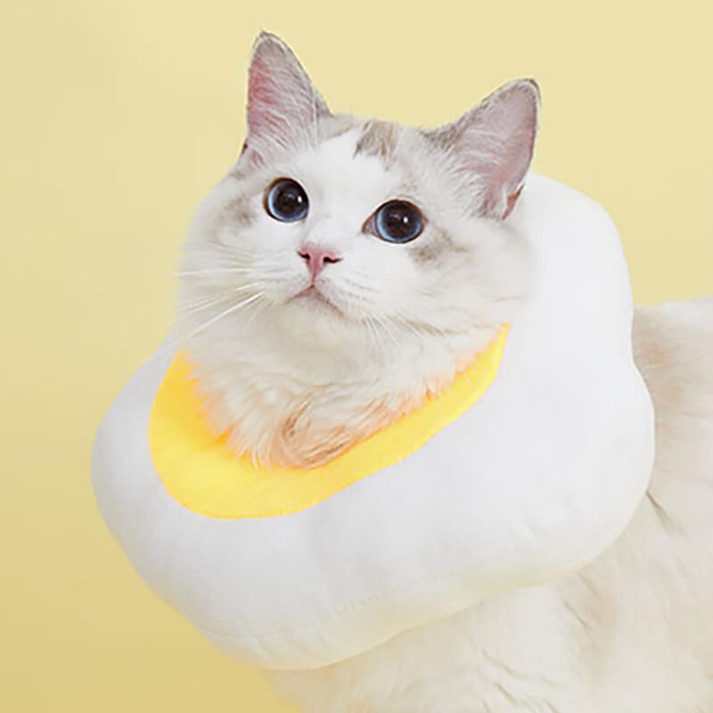 伊麗莎白脖圈 (雞腿、荷包蛋)