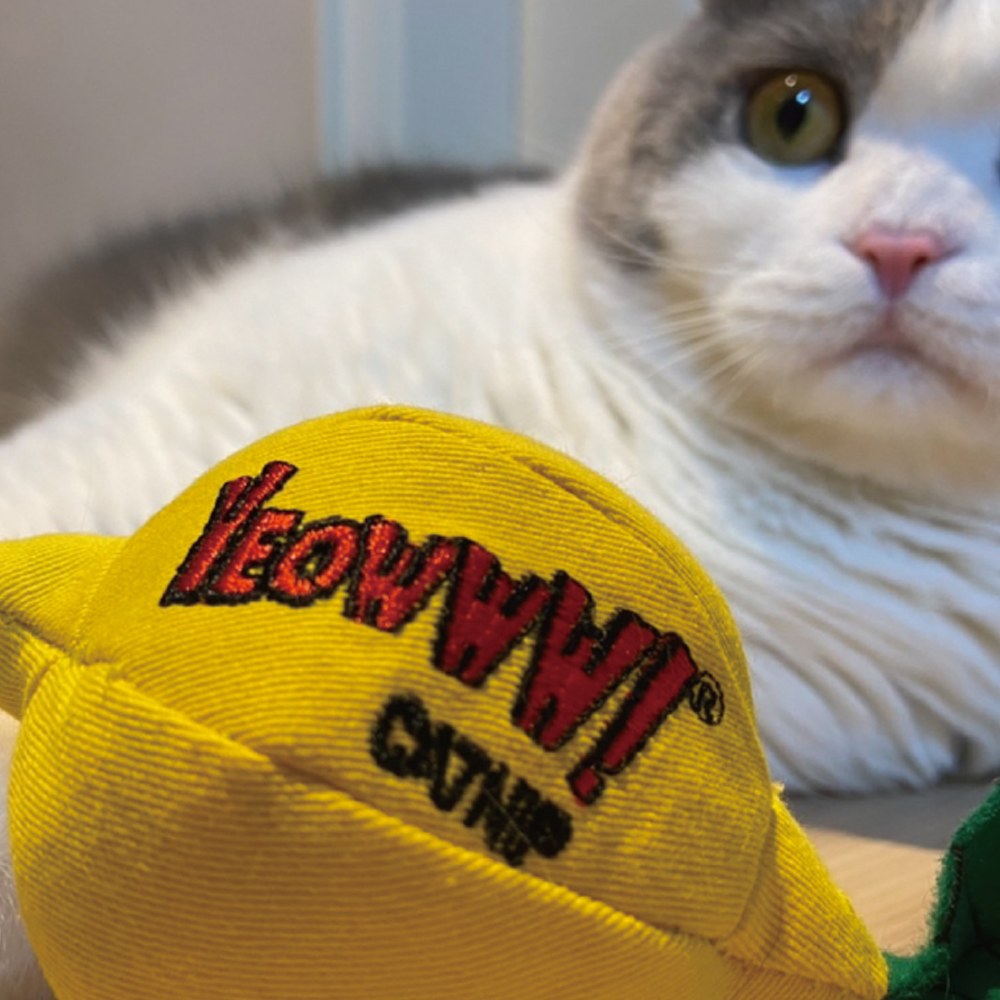 有機貓草玩具 (多款)