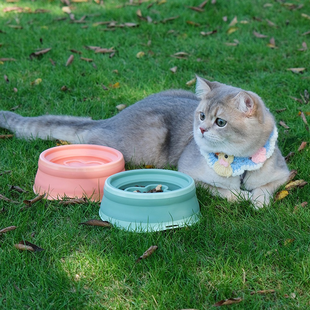 雙層寵物折疊碗 - 慢食款 (兩色)