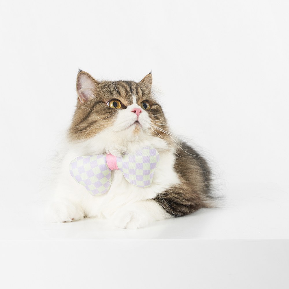 貓咪立體項圈 (三款)