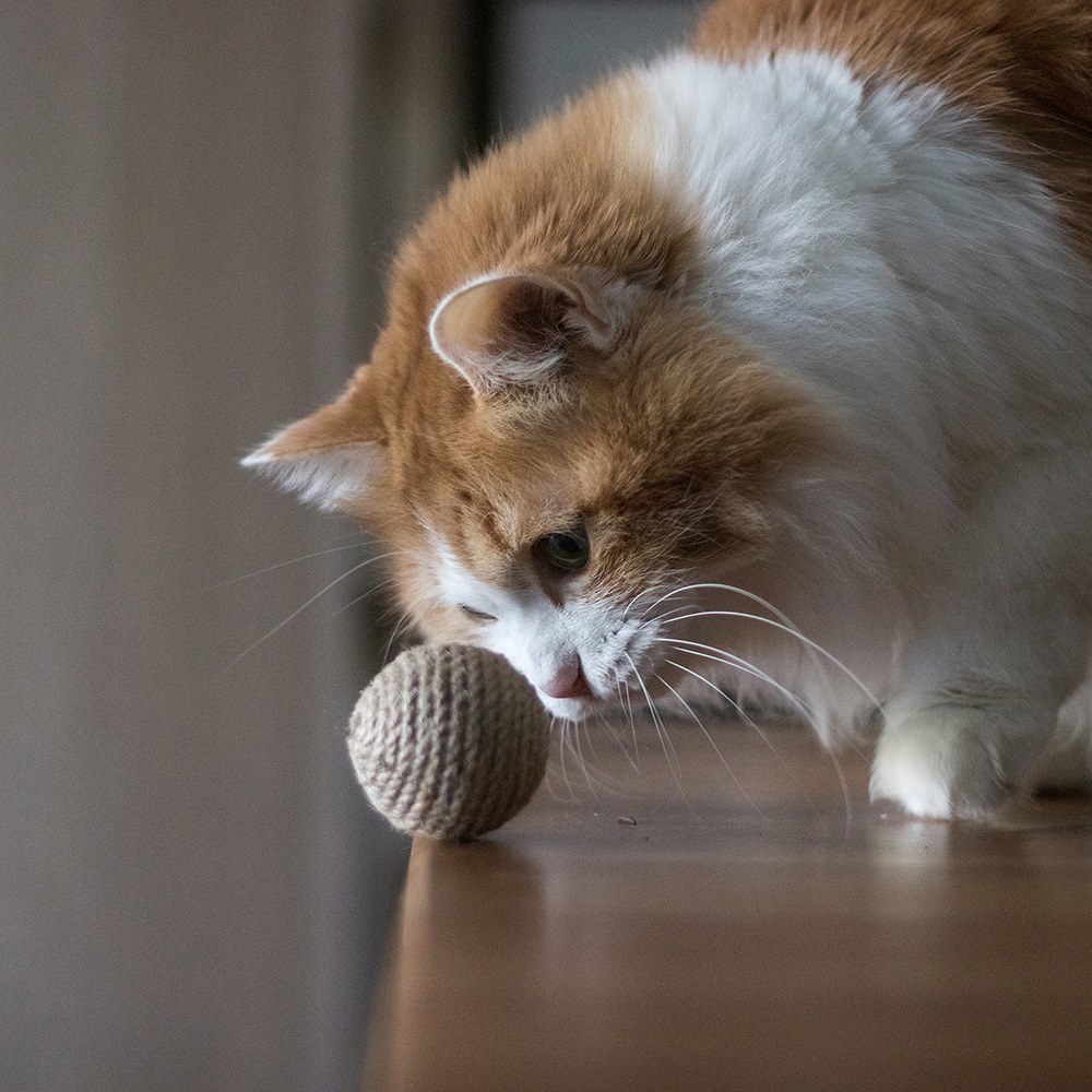 麻繩逗貓球 - 響鈴款 (6入)