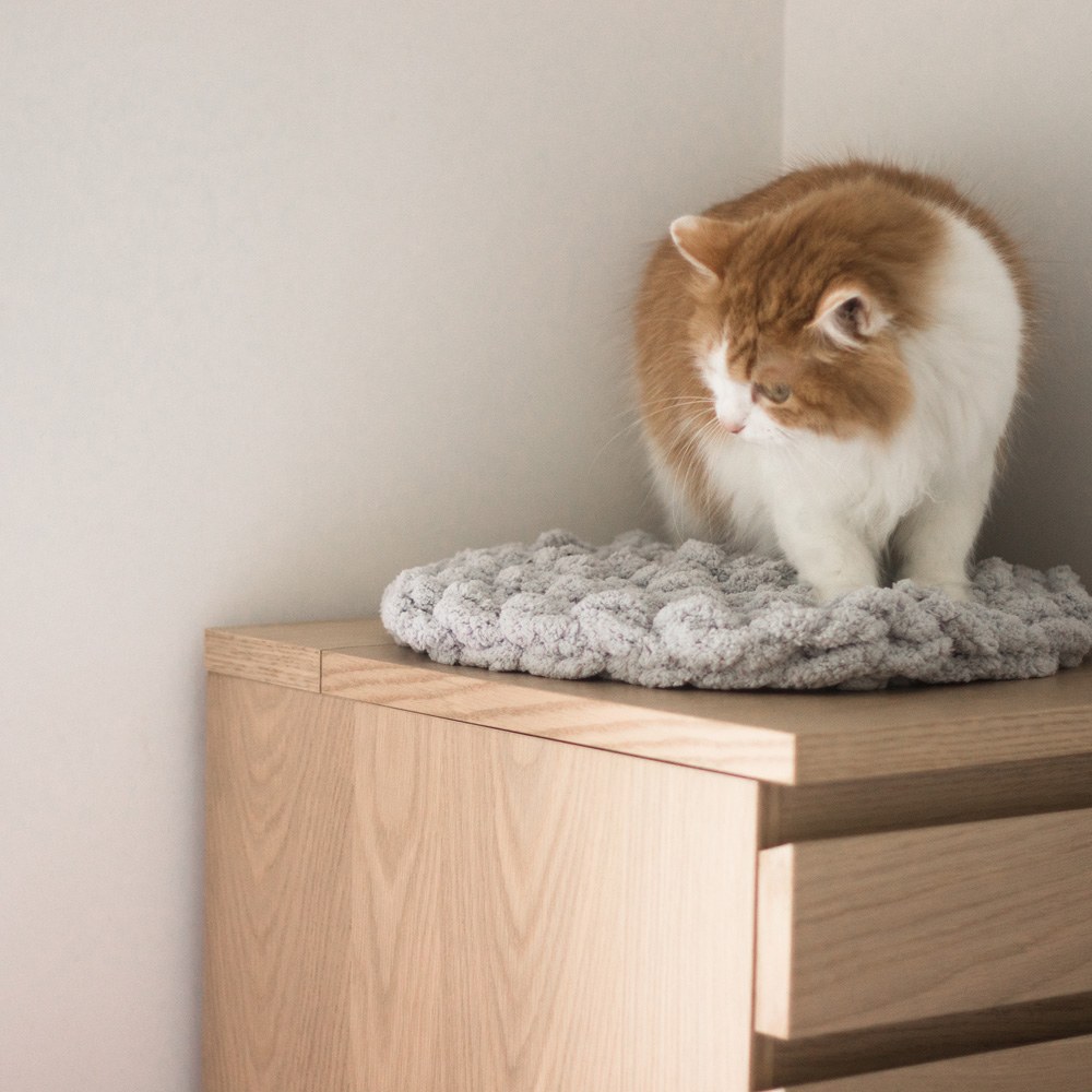 雪尼爾繩絨編織寵物墊(兩色)