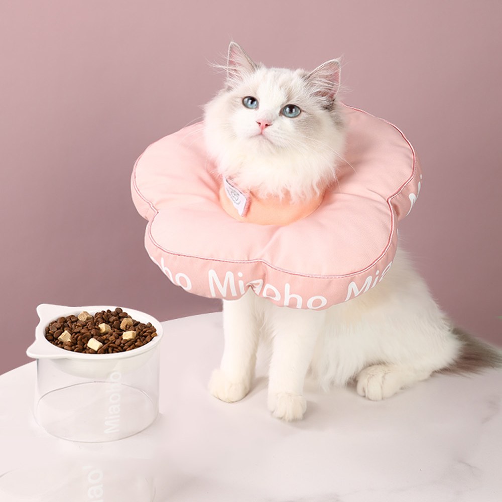 花朵伊莉莎白圈 升級防脫款 (三色)