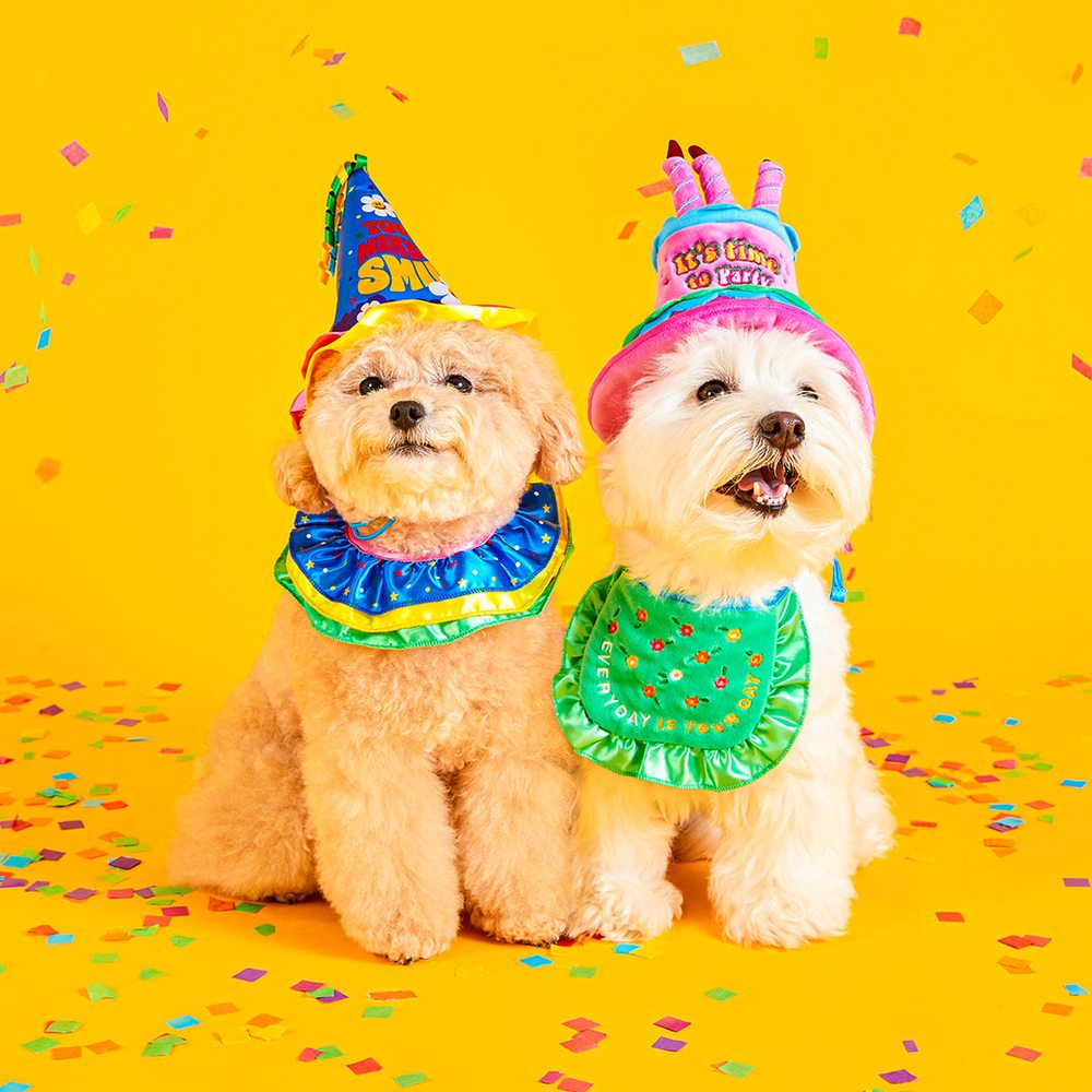 寵物派對套裝 (兩款)