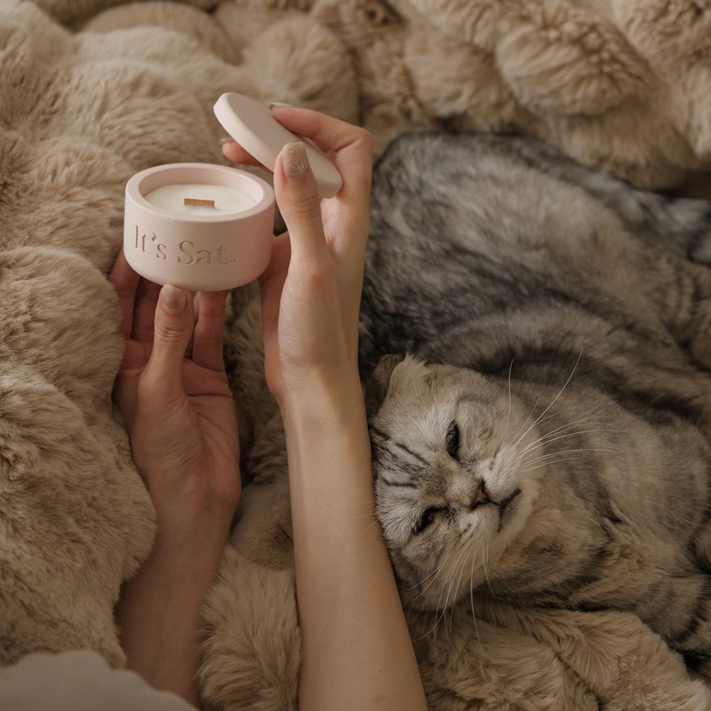 寵物友善香氛蠟燭 (多款)