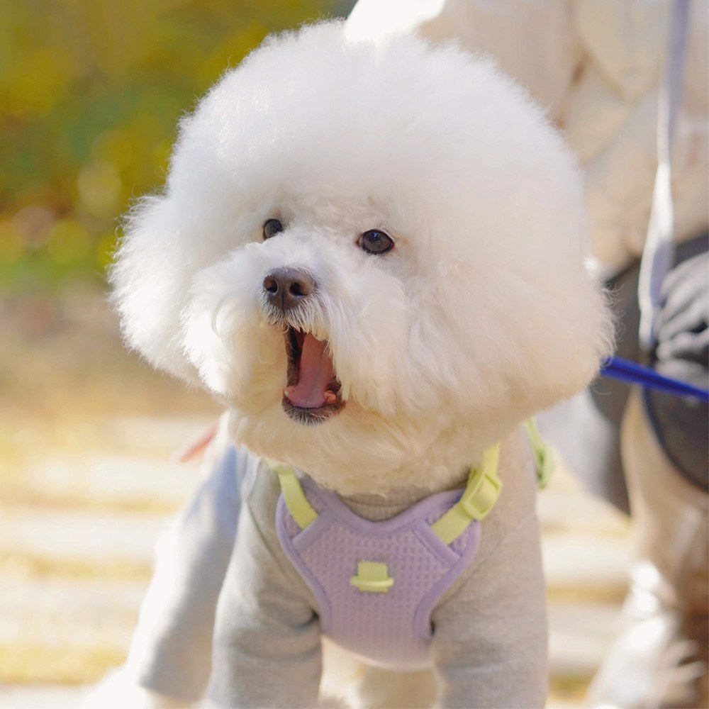 羅馬夏日華夫格泡泡胸背帶 (多色)