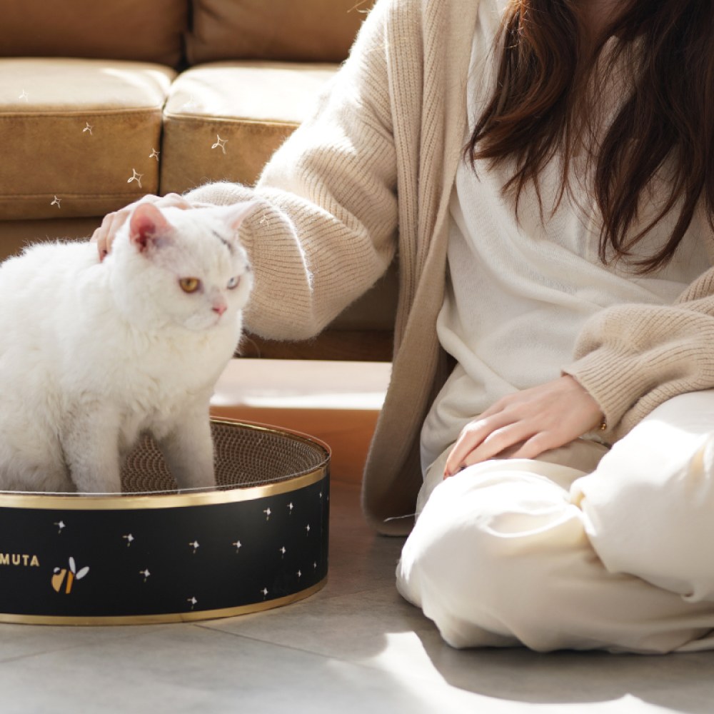 幻想家經典系列 - 貓抓板 (兩款)