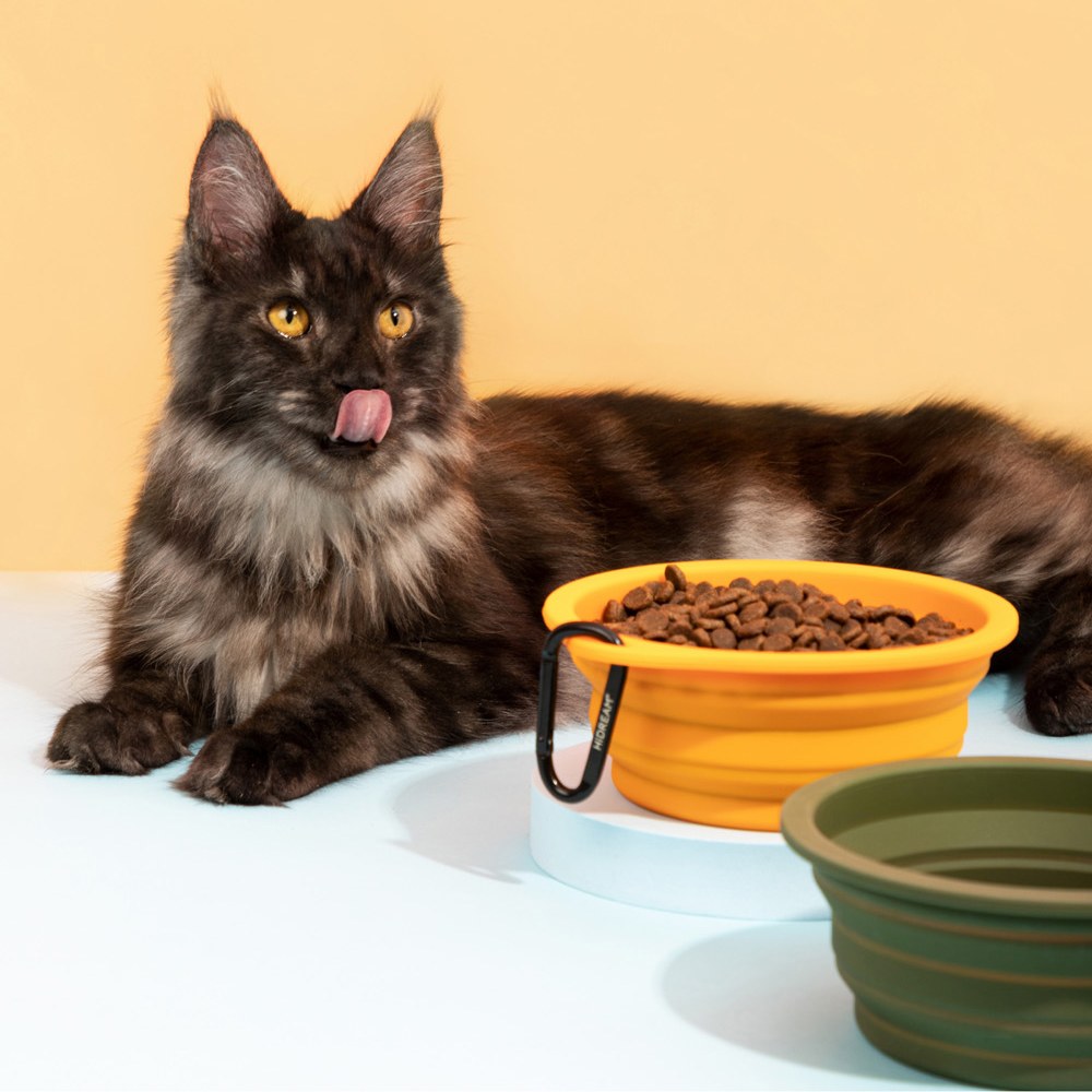 摺疊矽膠隨行碗 (多色)