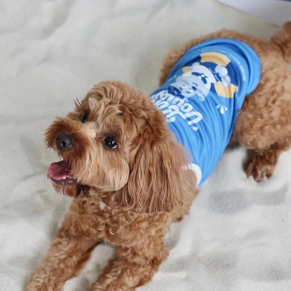 Bon Voyage 毛孩涼感衣 - 藍色