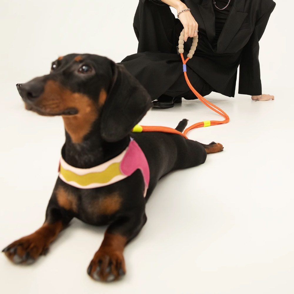 棉花糖SMART雙段牽引繩 (多色)