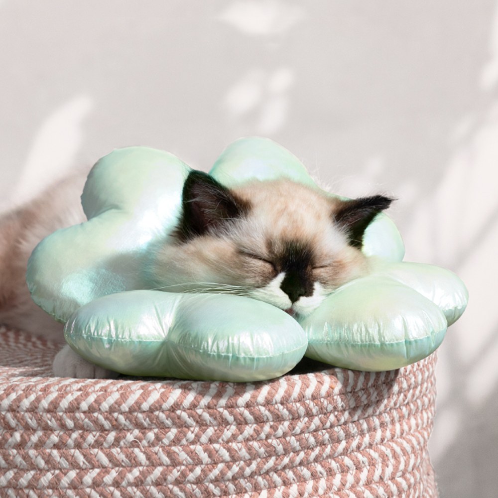 寵物伊麗莎白圈 (多款)