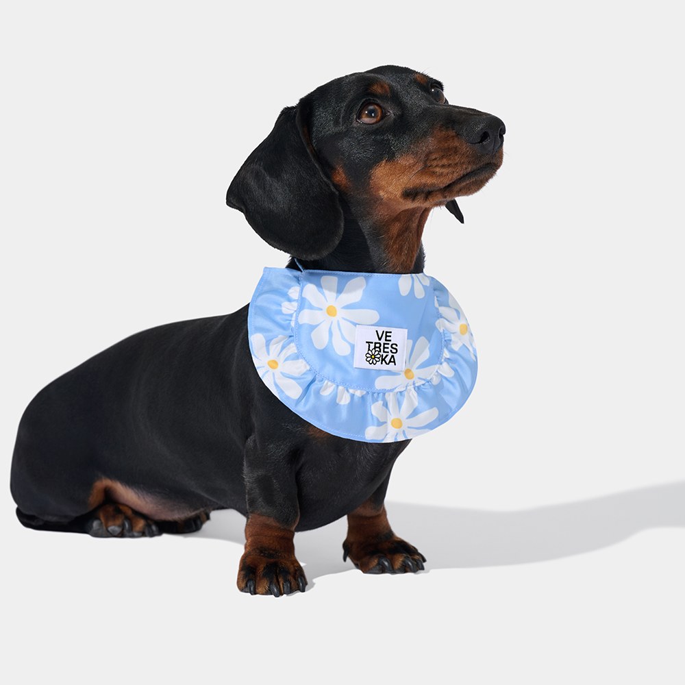 寵物口水巾 - 雛菊