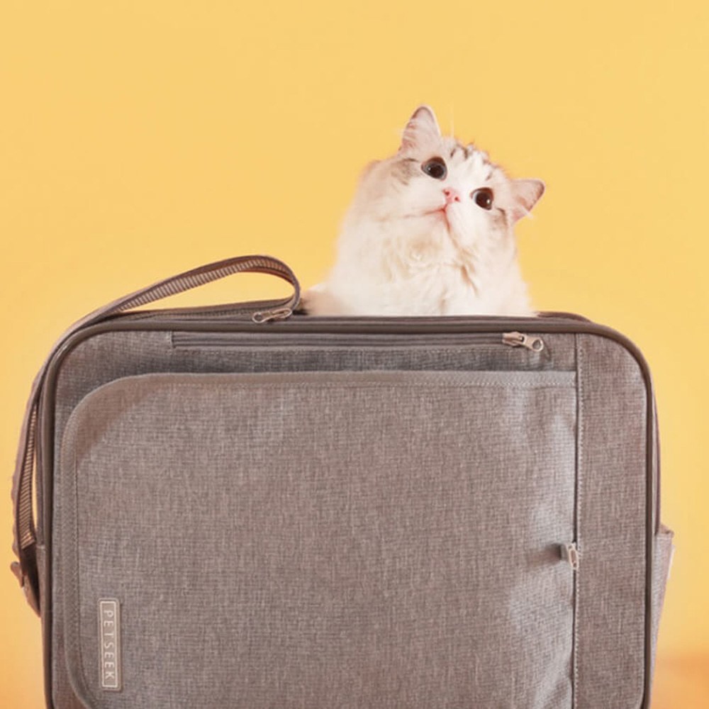 福利品專區 - 多功能摺疊便攜手提包