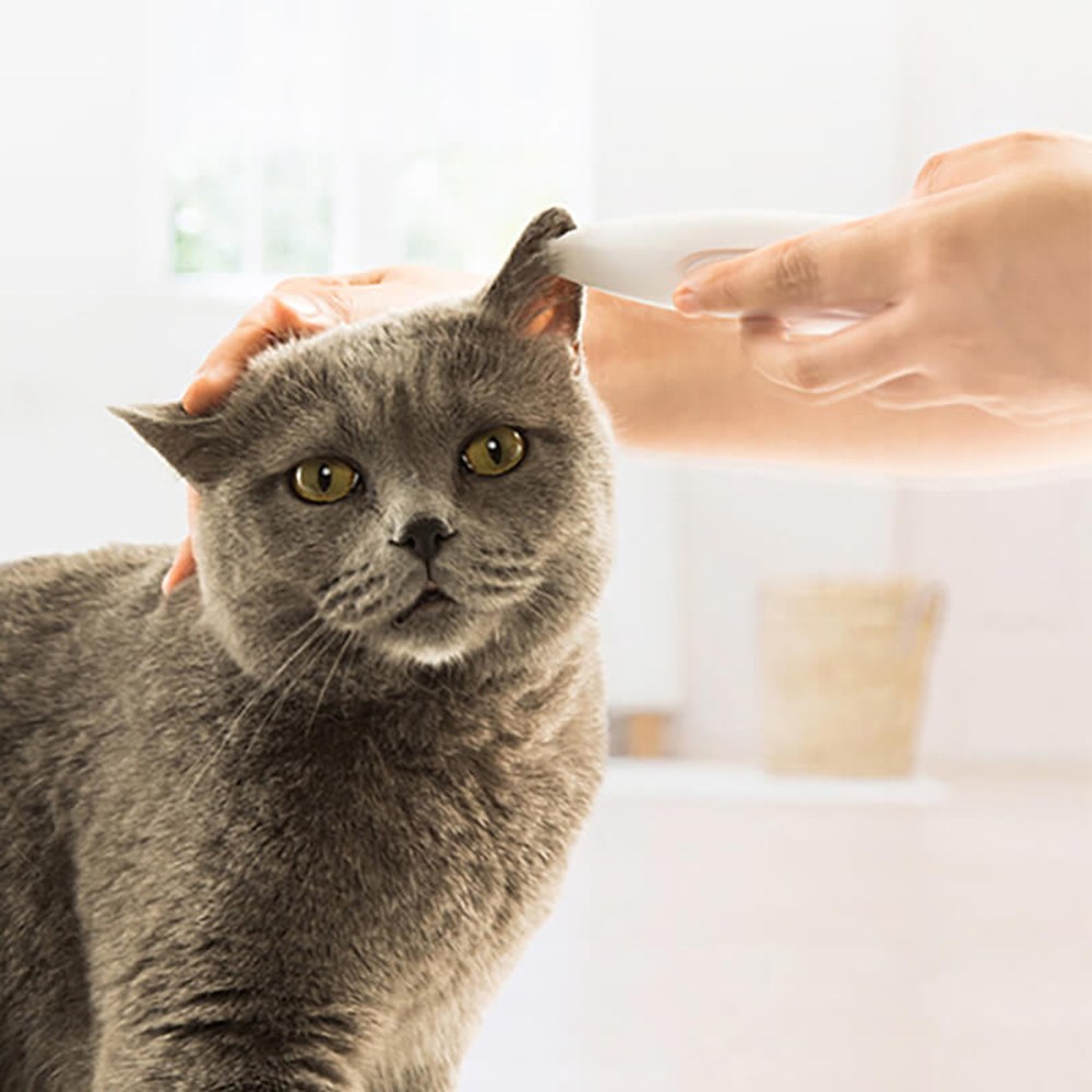 局部寵物剃毛器