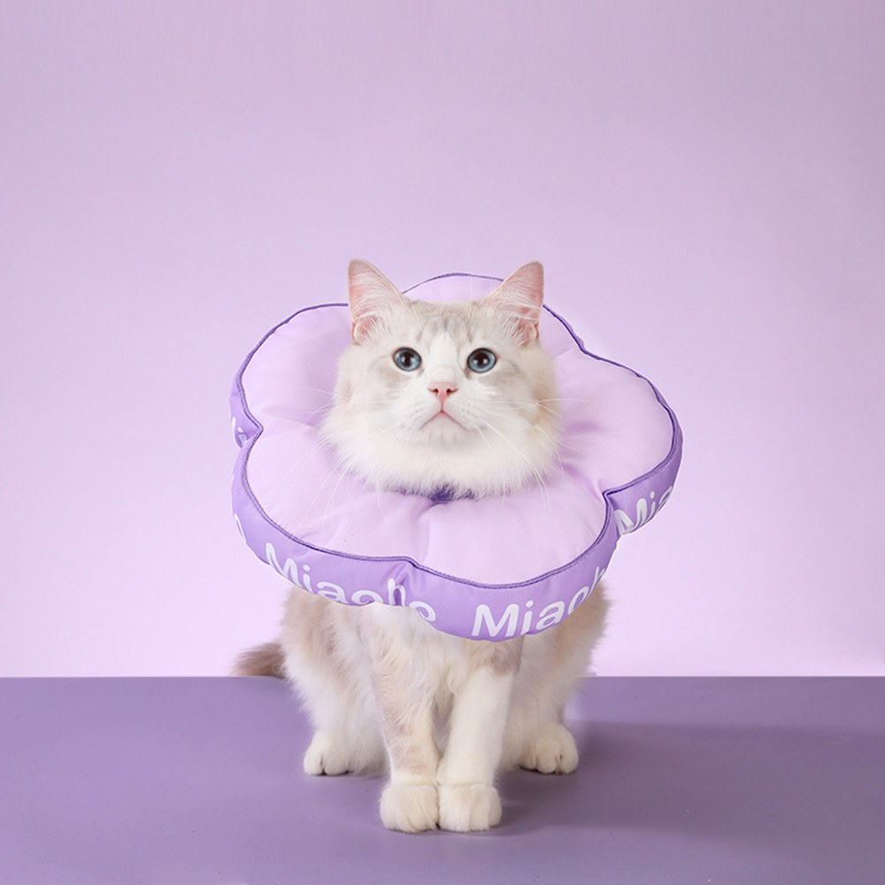 花朵伊莉莎白圈 升級防脫款 (三色)