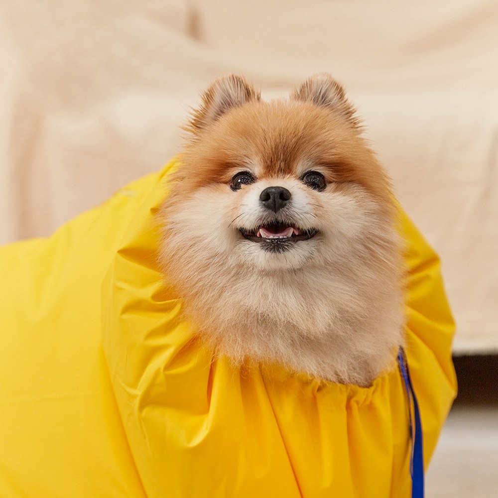 寵物快速烘毛夾克