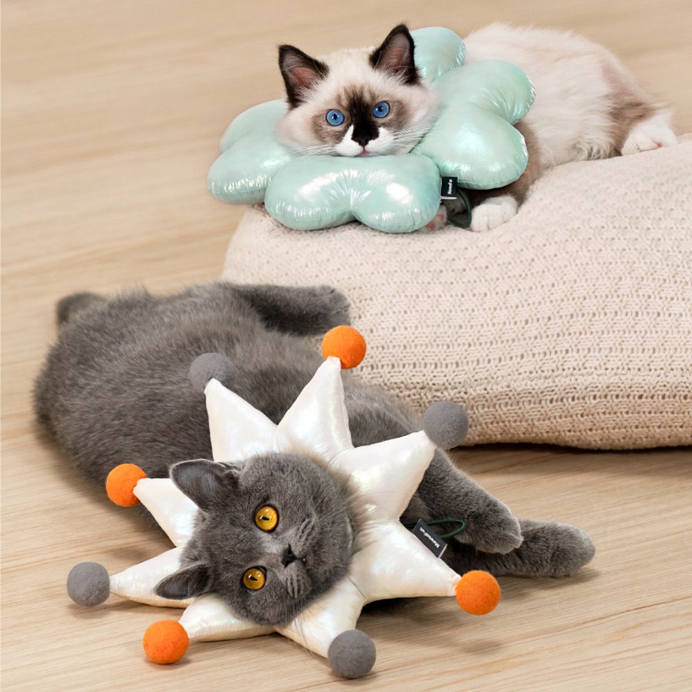 寵物伊麗莎白圈 (多款)