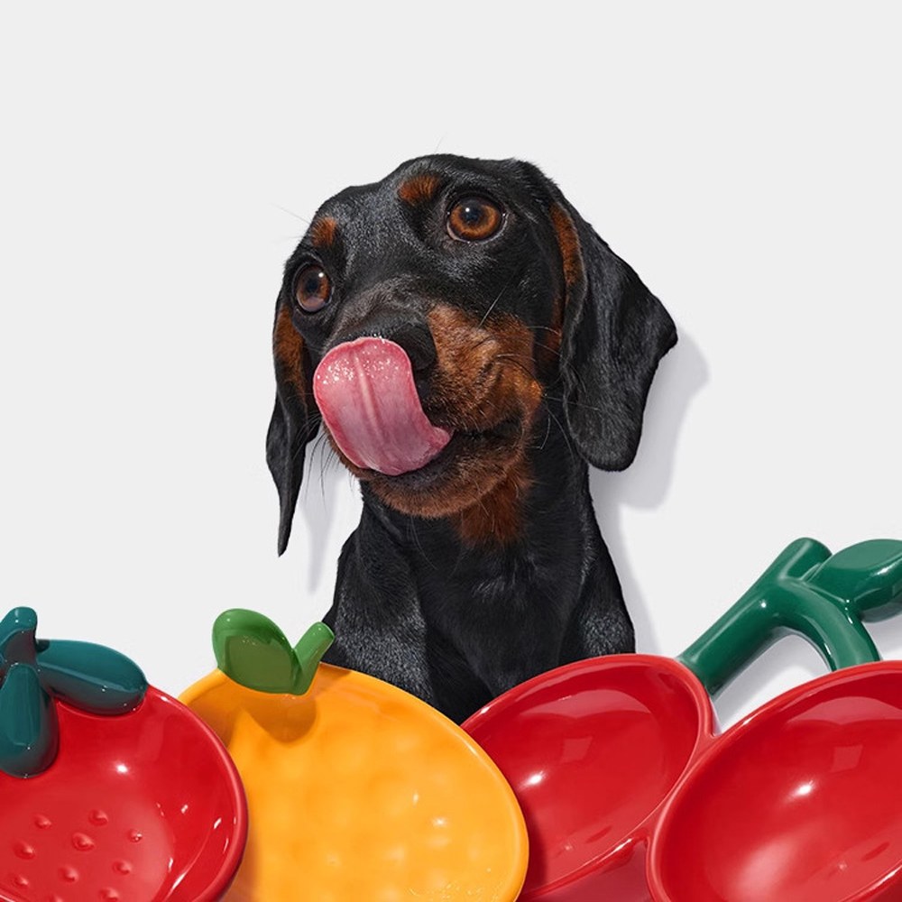 水果派對陶瓷碗 (多款)