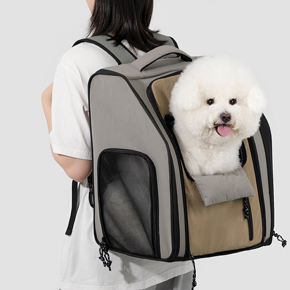 極簡探險家系列外出包 - 工裝旅者百變雙肩包 (兩色)