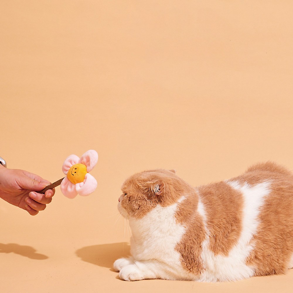 木天蓼潔齒玩具 - 花花fafa