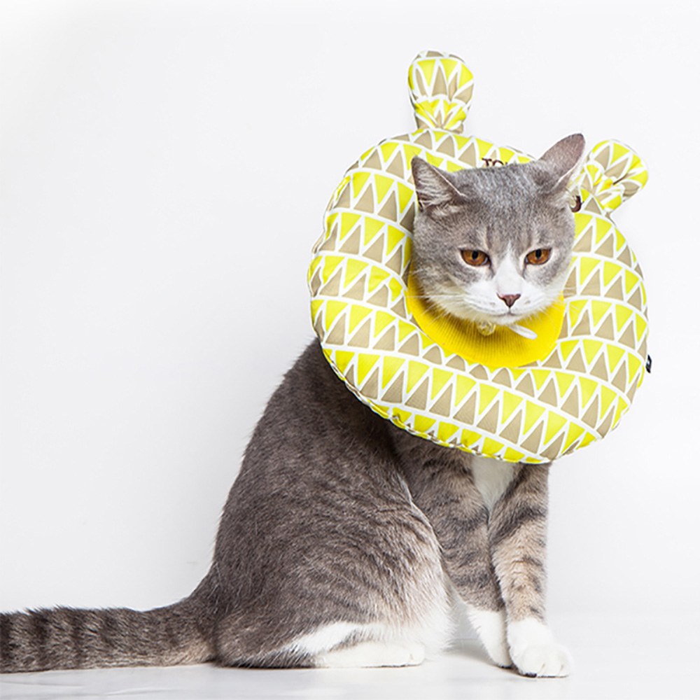 伊麗莎白圈 (五款)