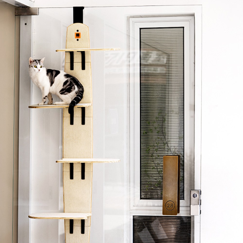 頂天立地貓爬架