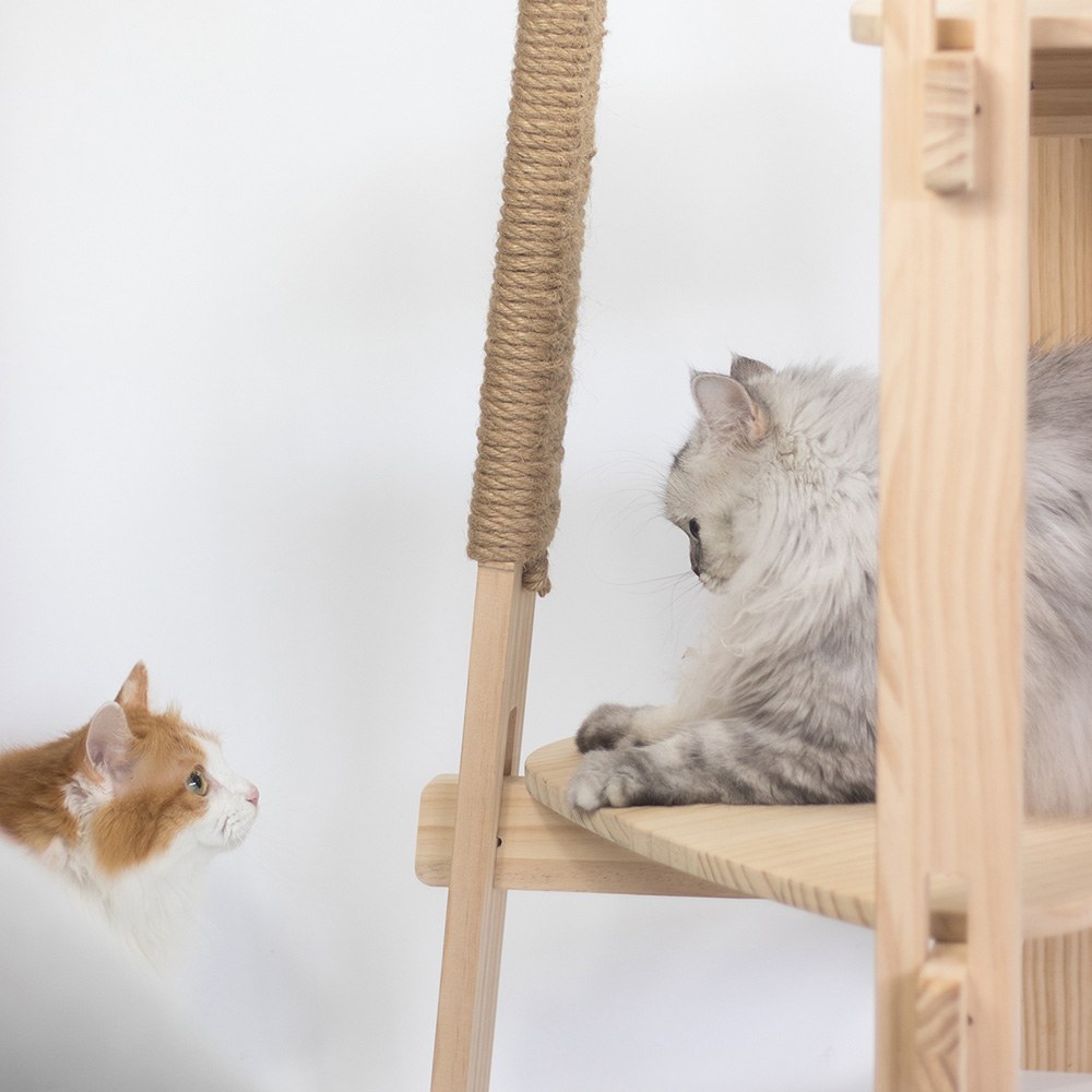 多層簡約貓爬架