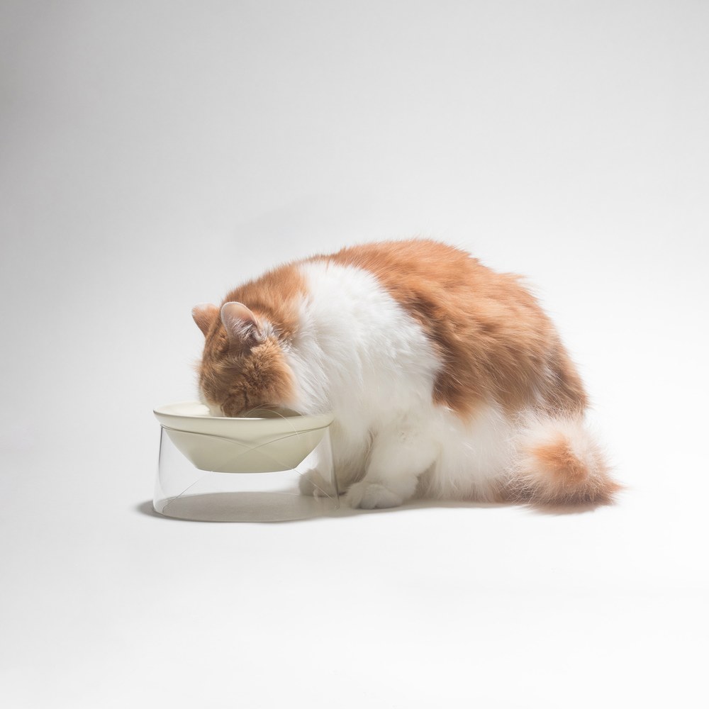 寵物高碗 - 透明高腳碗