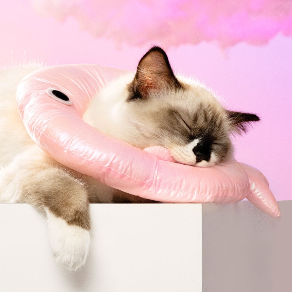 寵物伊麗莎白圈 (多款)