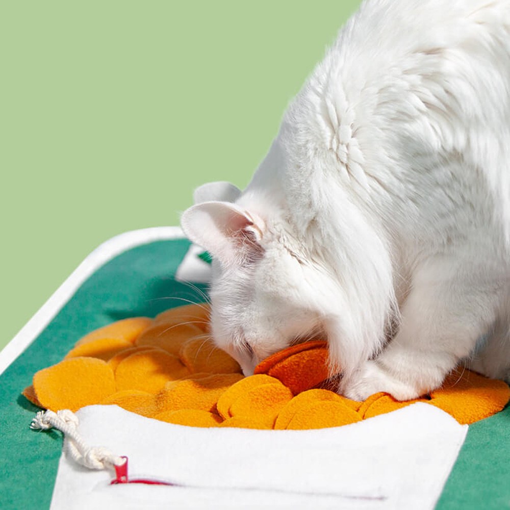 氣味遊戲墊 - 港式茶餐廳