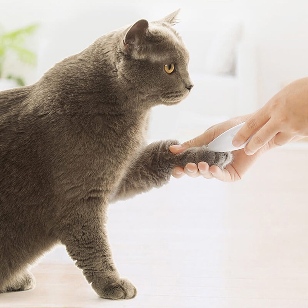 局部寵物剃毛器