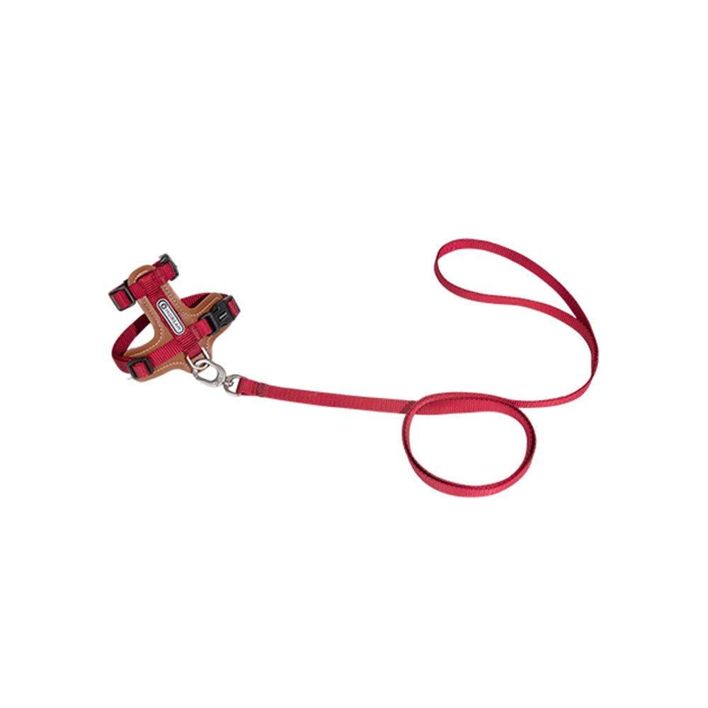 啵啵皮革貓胸背牽引繩套裝 (多色)