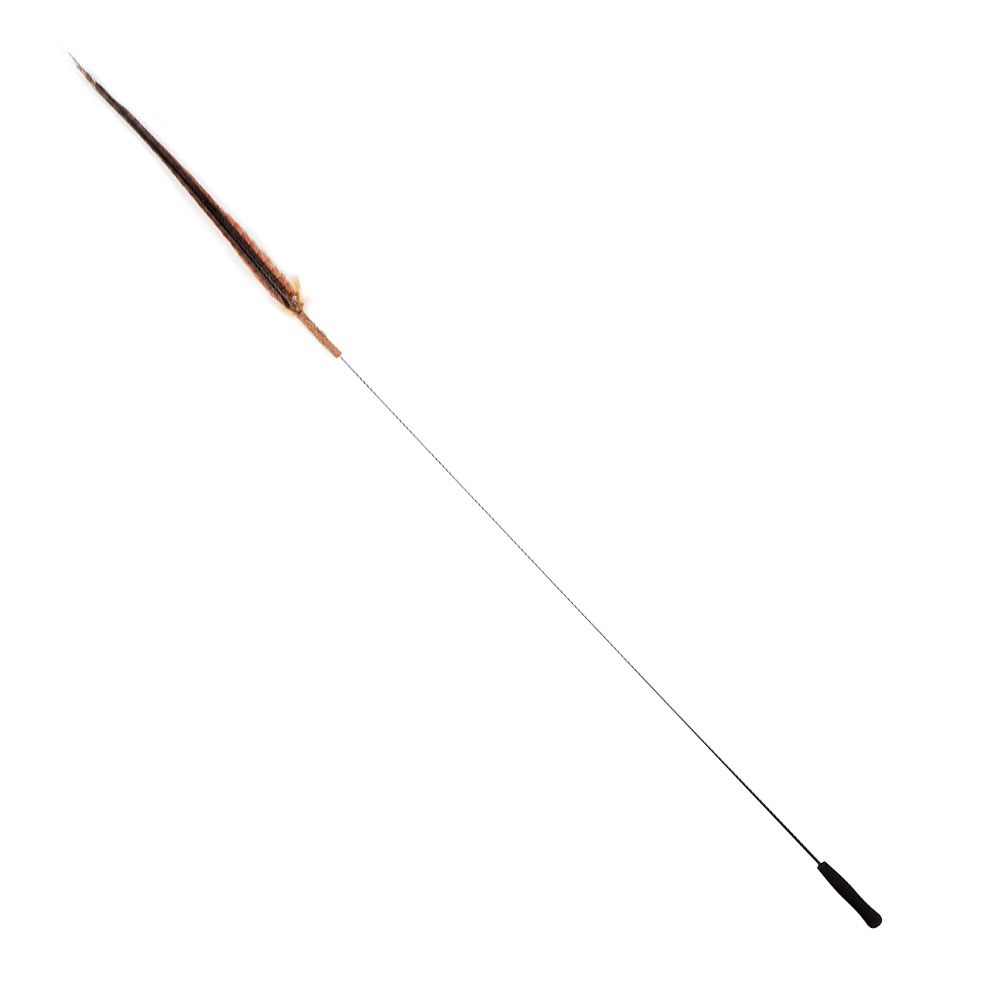 木天蓼羽毛巨長逗貓棒