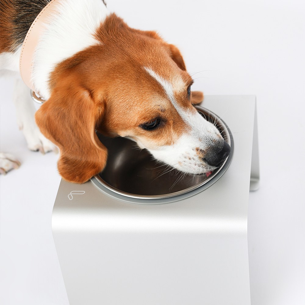 鋁合金寵物碗架