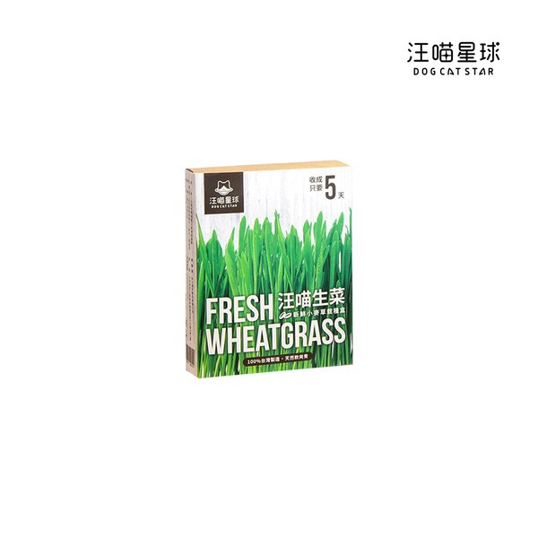 貓草新鮮栽培盒 - 貓咪生菜