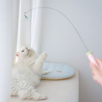 超長鋼絲逗貓棒