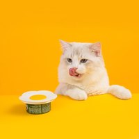 小花罐頭密封蓋