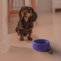 雙層寵物折疊碗 (含登山扣)