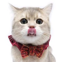 手工寵物花圈 (多款)