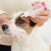 Kirei Water 寵物護理系列 - Eye Clean 漂漂眼