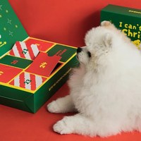 造型發聲玩具 - 聖誕倒數盒