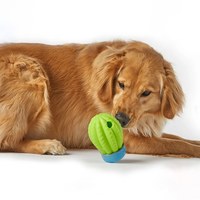 寵物漏食玩具 - 仙人掌