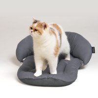 Mushroom 菇菇枕 (多色)