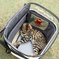 寵物露營背包套裝組 單入