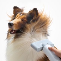 寵物吹水機 - PD10