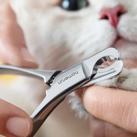 寵物指甲鉗